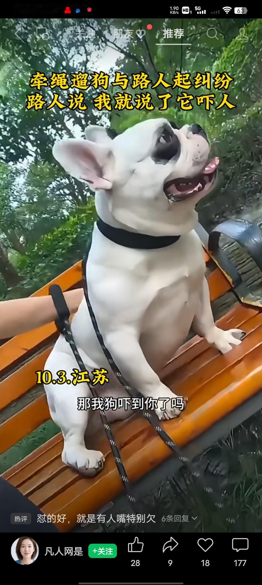 女子遛狗与路人起争执！路人：我就说了句这狗好吓人，她就不依不饶的。狗主人：我