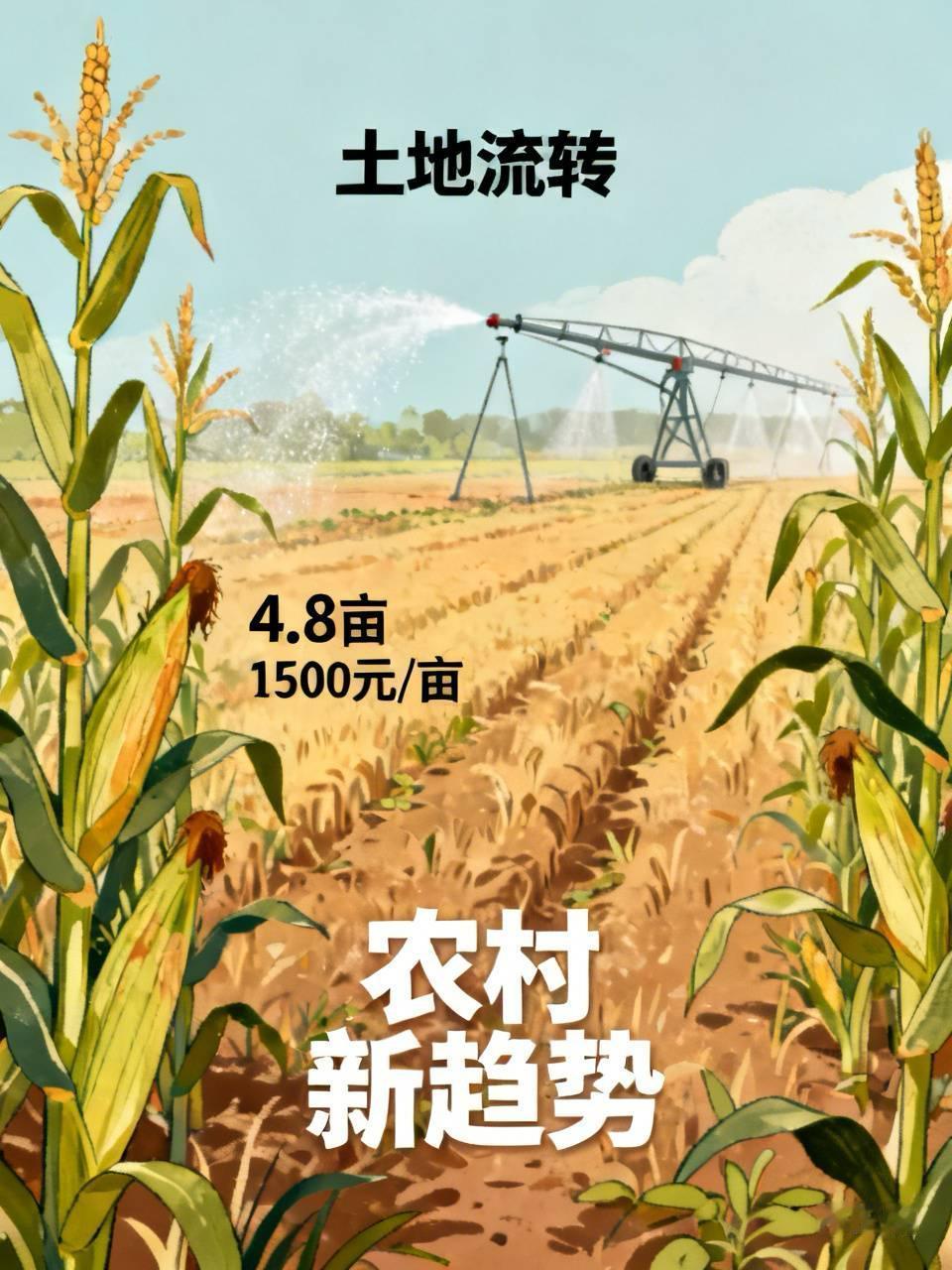 爸爸他们终于把地承包出去了，等收了玉米人家就要租地种药材，先租用一年，一亩地15