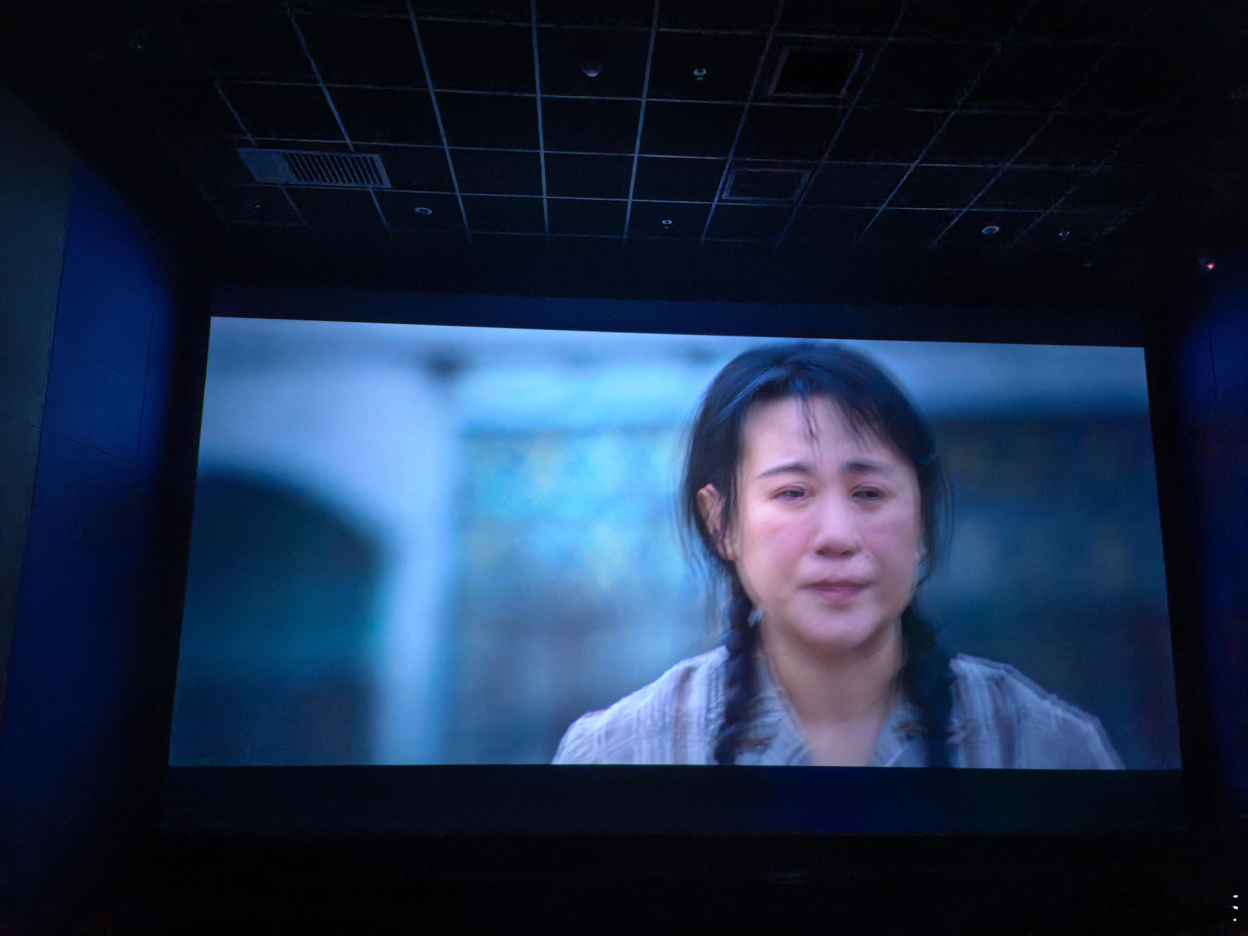 《水饺皇后》​​今天专门去看了电影《水饺皇后》，该片是根据湾仔码头水饺的创始人臧