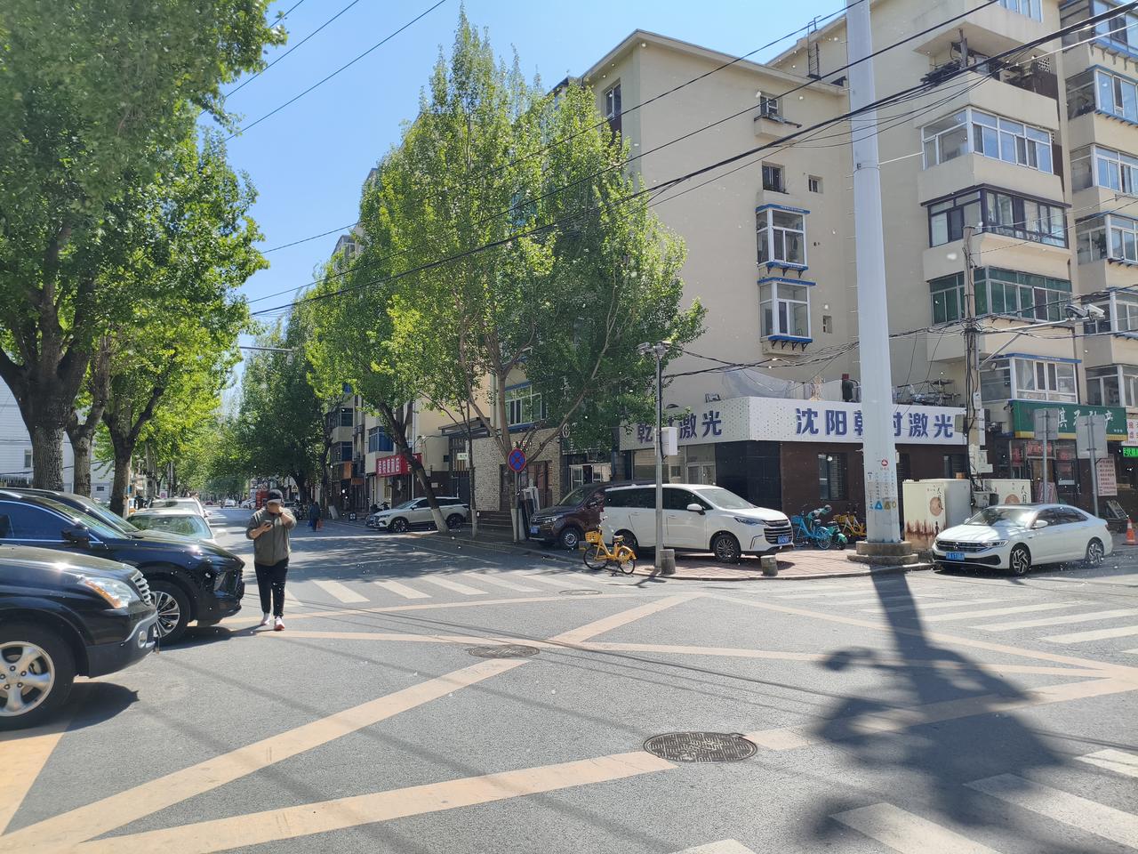 沈阳口罩卖脱销了！为何？沈阳的柳絮已经到了“漫天飞雪”的程度了…走两步身上沾一