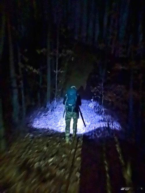 河南驻马店，男子深夜看到山顶有光一直不动，于是上山搜索，结果发现迷路的一家五口！