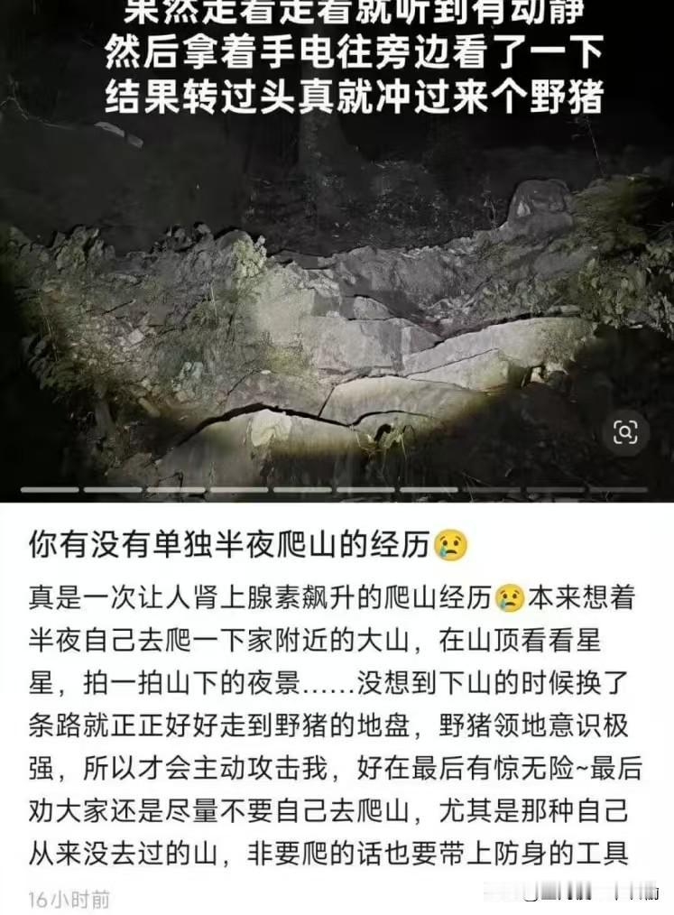 恐怖直立猿一拳打死野猪