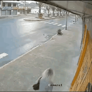 估计抢劫的也懵逼了，从来没有碰到过这么一个死缠烂打的客户！​网友评论：​被抢