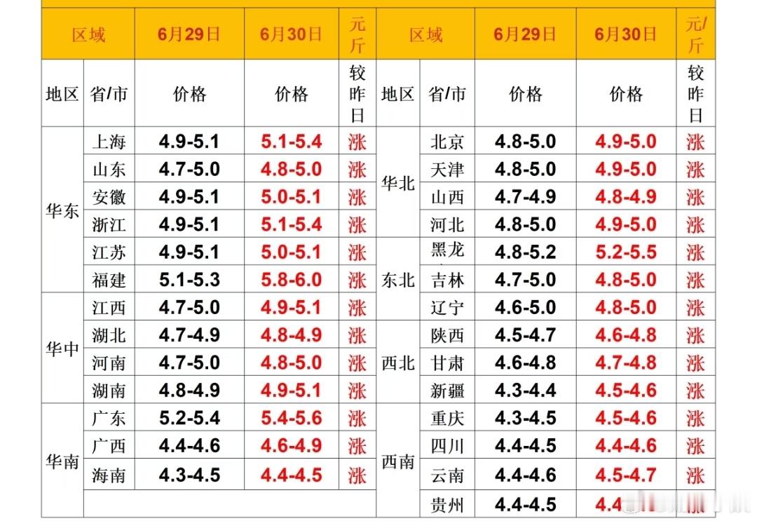 每日猪价