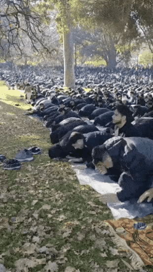 墨尔本街头十年翻天，移民比例暴涨，背后藏着什么秘密？这两天在墨尔本街头走了一圈