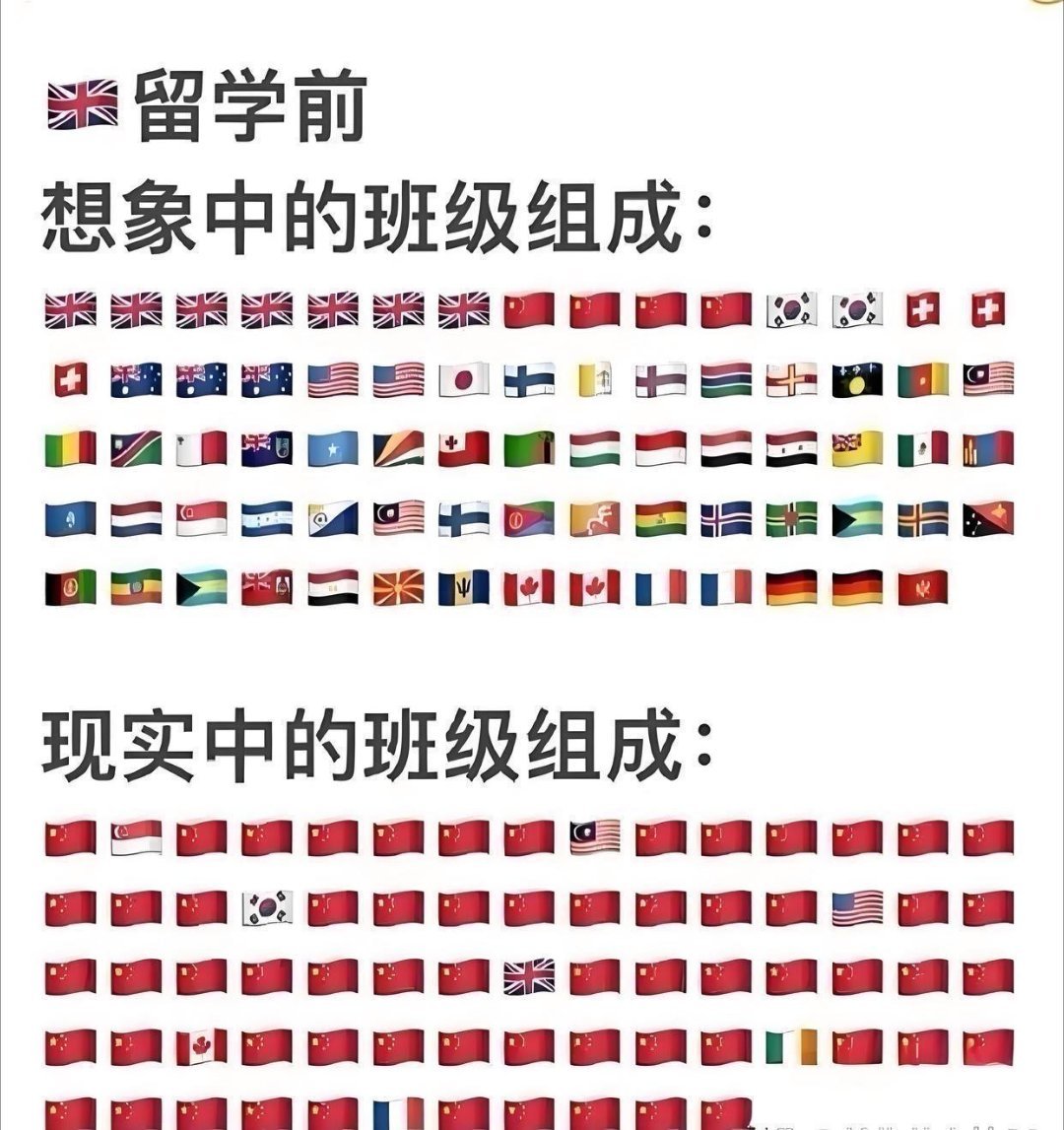 笑死😆只有留学生才懂的梗图❗️