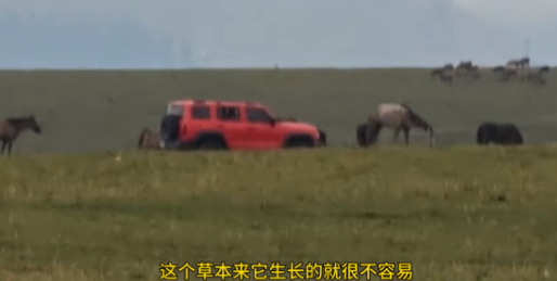 “必须严惩！”8月17日，新疆伊犁，一游客开着越野车在景区里的草场上疯狂碾压草坪