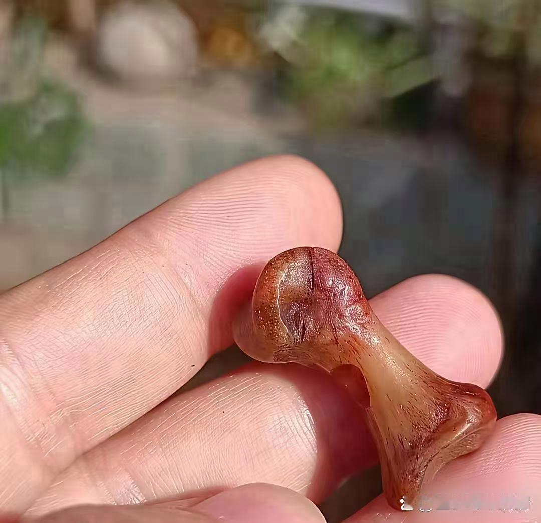 粉丝宝宝们谁知道这是什么东西？