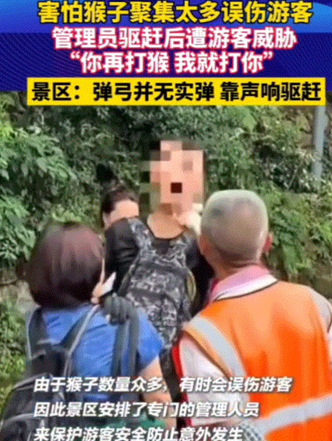 “真是不知好坏”！贵阳黔灵山公园，一管理员大爷害怕猴子聚集太多伤害到游客，便驱赶