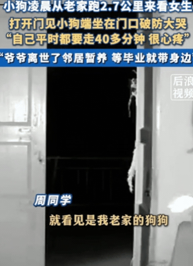 太有灵性了！6月10日，四川，女生凌晨1点准备睡觉，突然听到门外有狗狂叫，她起初