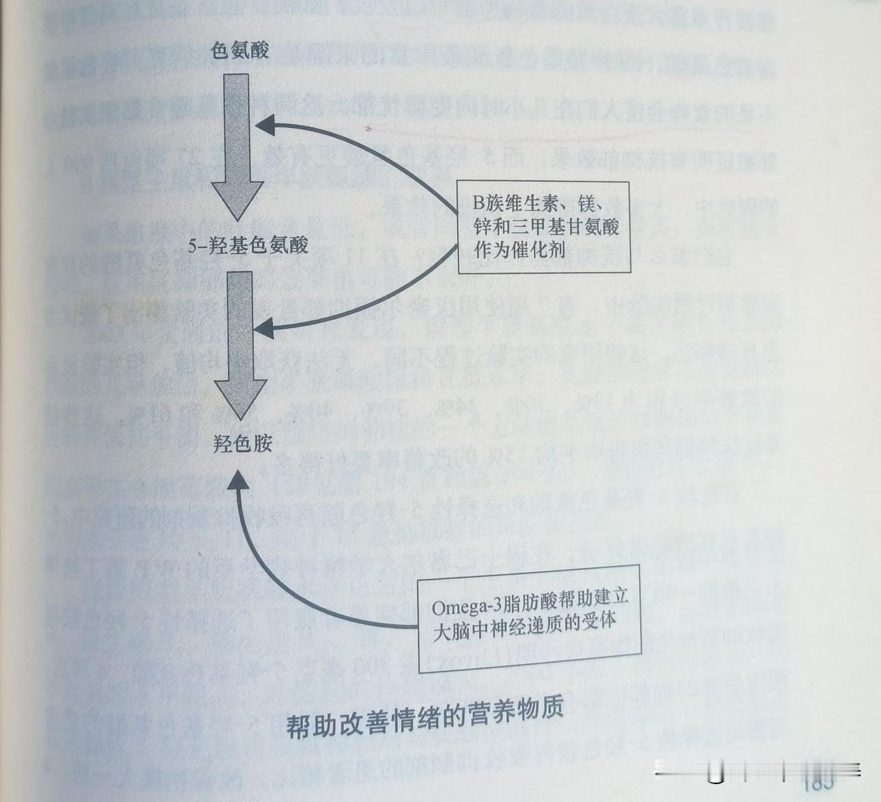 用营养疗法治疗抑郁：1.吃富含氨基酸的食物。蛋白质中的色氨酸在体内代谢，产