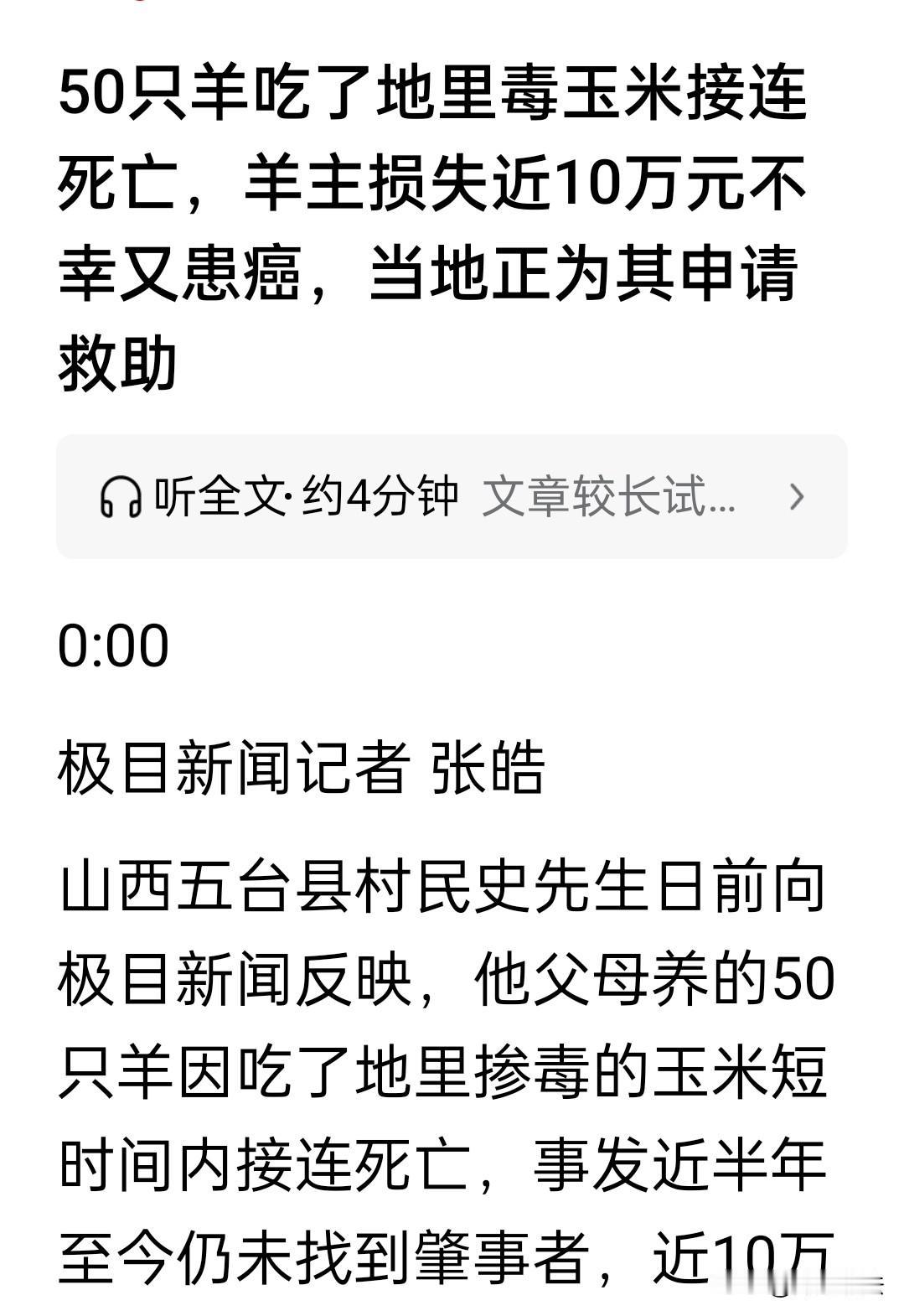 山西五台，老人在收割过的玉米地里放牧，突然有38只羊离奇死亡，想尽办法也救不回，
