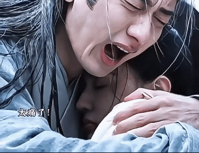 《长安二十四计》谢淮安此刻的痛苦真是难以想象。谢淮安亲自下的令，居然误杀了白菀