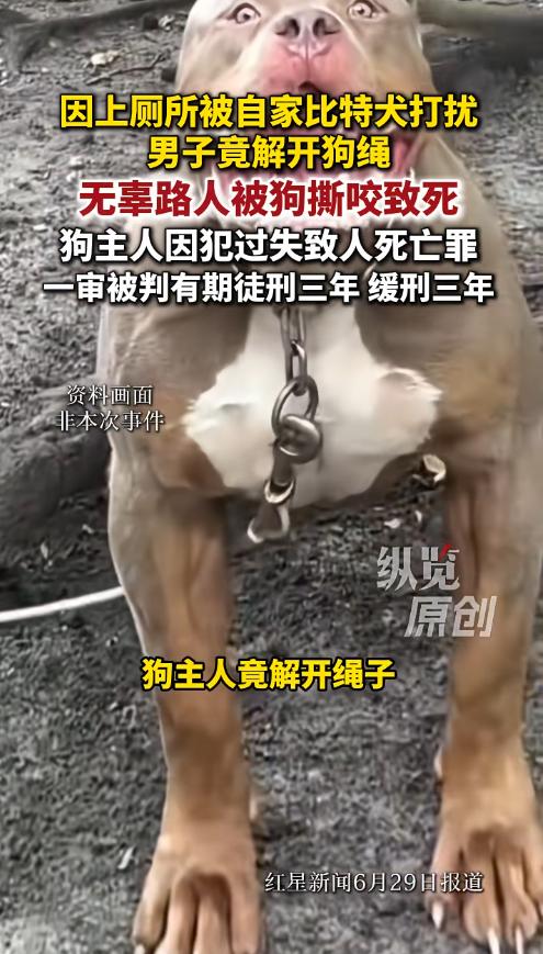 “太荒唐了！”重庆彭水，一男子为牟利饲养烈性比特犬，出门遛狗行至山坡小路时因要