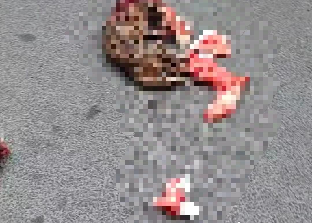 2026年3月29日，青岛李沧区金水龙泽苑东区的业主们，再次被小区内发生的恶性事