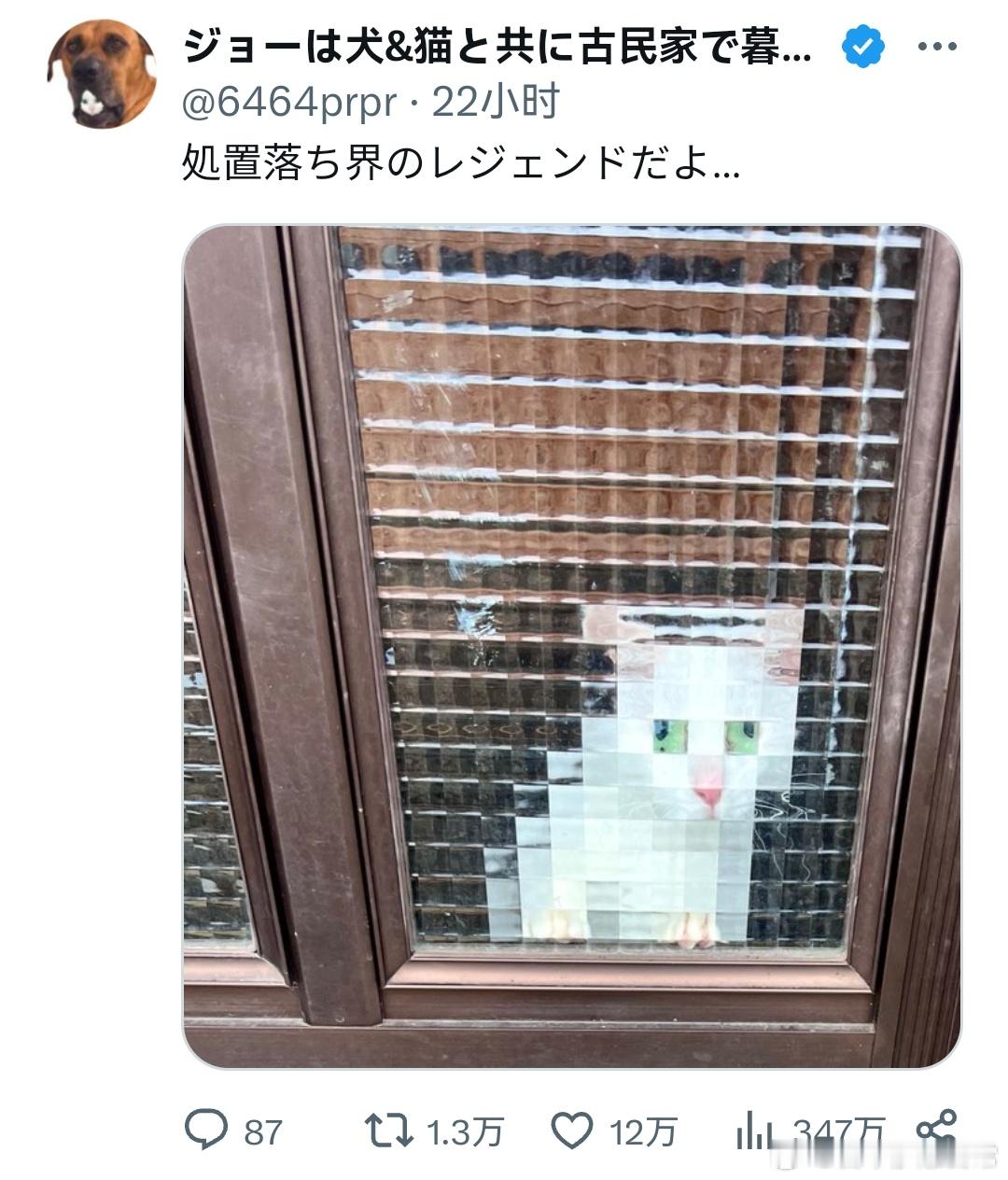 物理马赛克猫[doge]​​​