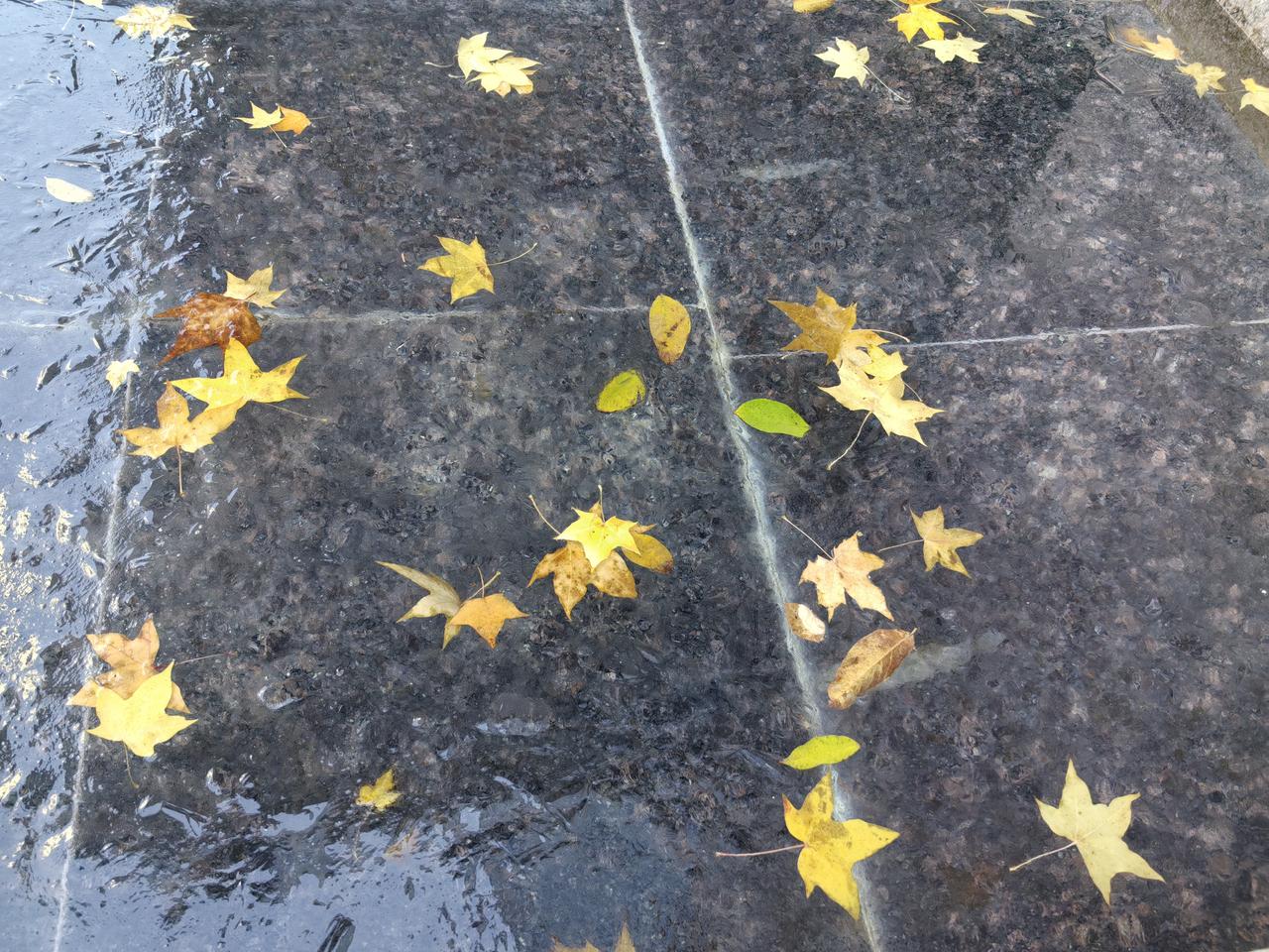 银行柜台前，70岁大叔办业务用了一个多小时，看清他办的业务后我服了。中午去银