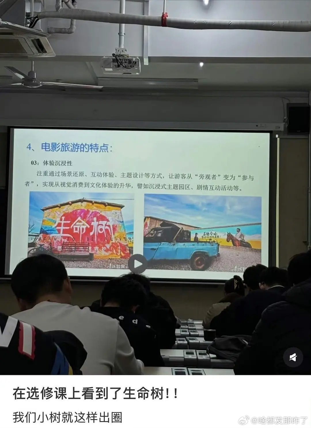 杨紫的生命树出现在了大学选修课上，一部剧能从荧幕走进大学课堂，说明它不止是娱乐