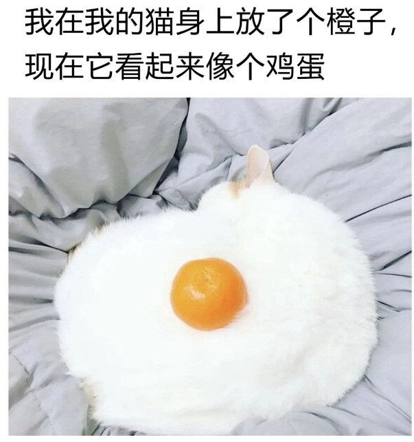 太像个煎蛋了