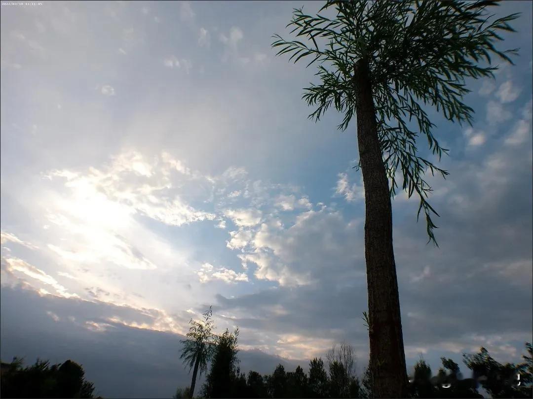 奉劝现在的年轻人不要随便去纹纹身，不然以后你连工作可能找不到。今天去面试了一