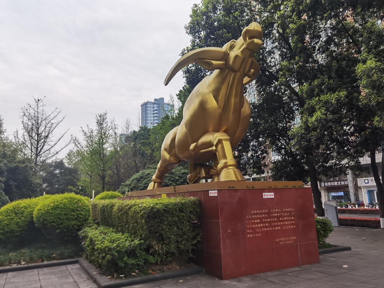 昨天成都天阴了，天空还下了一会儿绵绵细雨，姐妹相邀，到成都金牛公园和天府艺术公园