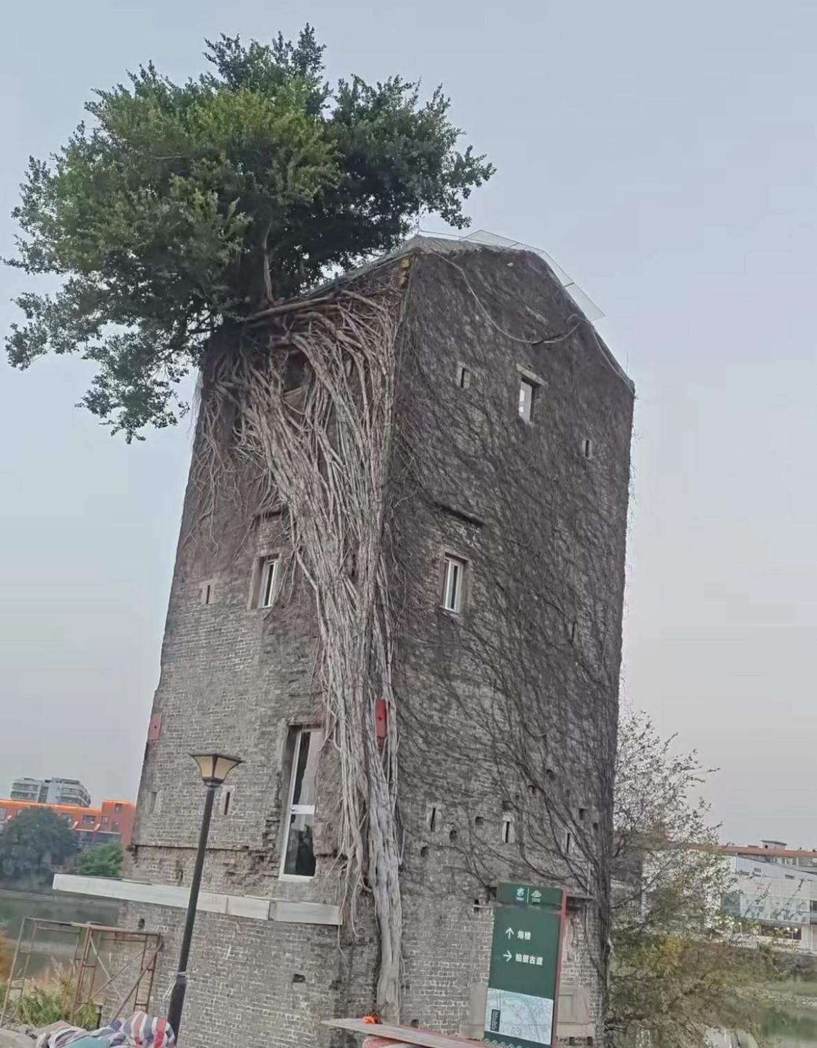 一年前和一年后的变化