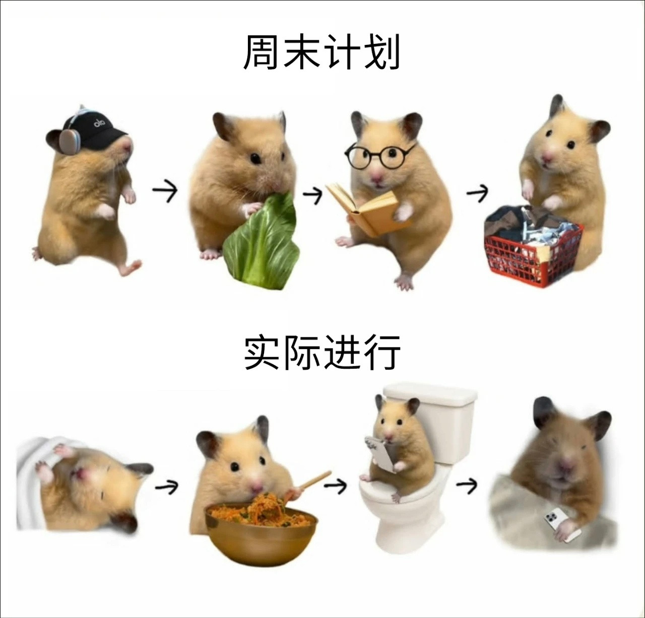 我的理想周末meme​​​