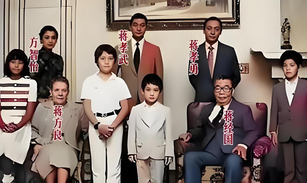 一提到1988年蒋家丢权，很多人痛批是蒋经国那三个儿子没出息，老大蒋孝文到处惹是