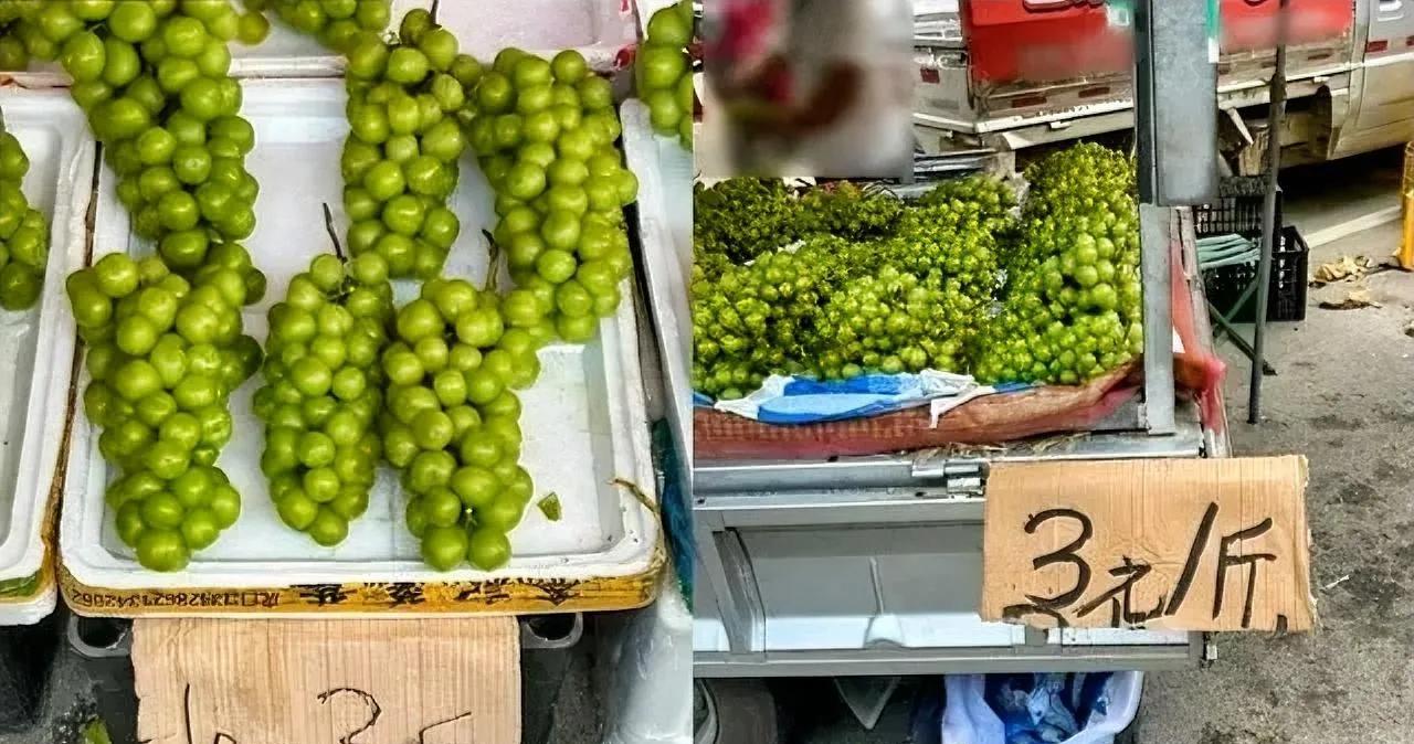 菜市场的阳光玫瑰已经降到10元3斤，甚至两元1斤，还无人问津。老板在无奈地卖力