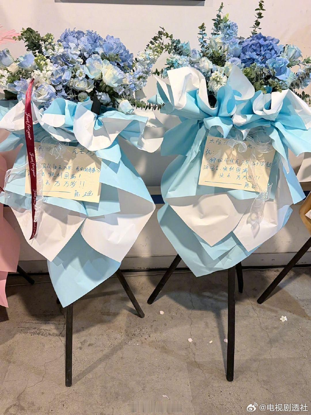 浪姐给谢娜演唱会送花篮浪姐送谢娜演唱会花篮好多明星给谢娜《快乐万岁·我们的青春》