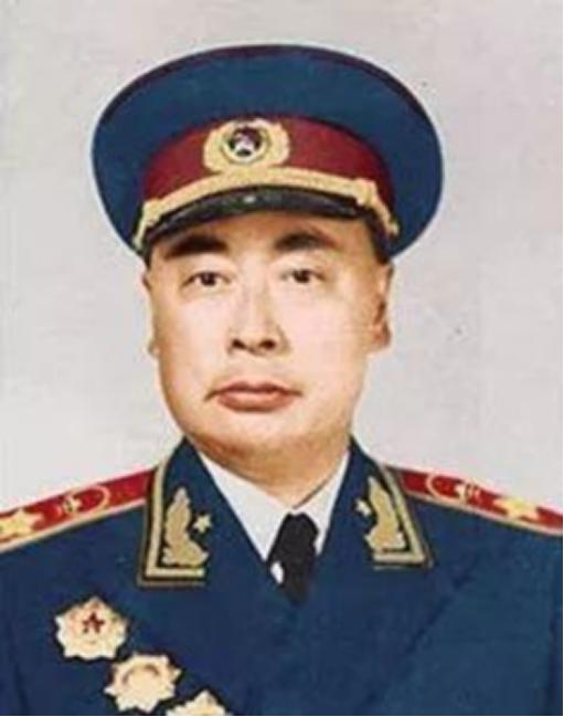 全军授衔期间，中央两次召开会议，刘少奇坚持反对给陈毅授元帅军衔，周总理听闻此事，