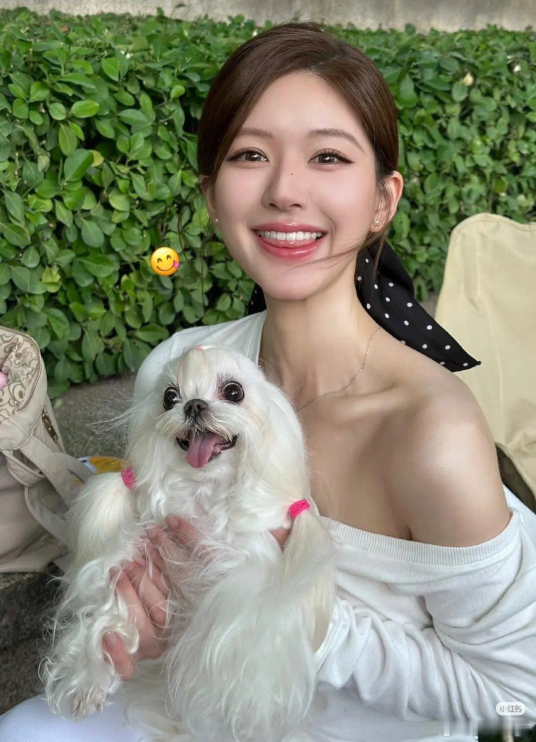 白鹿和赵露思的狗真的是我刷到同品种里面养的最差的，就不能好好打理一下吗