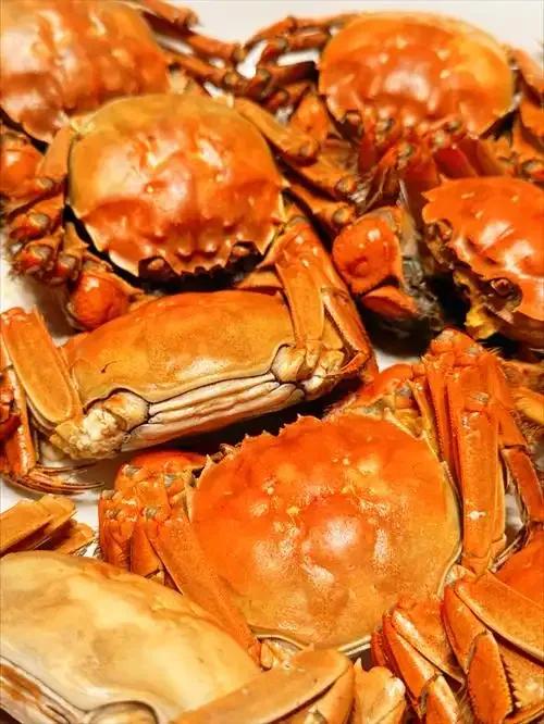 12月28日惠州马拉松简直就是吃货们的天堂，随着一声枪响，1万3千名从惠州体育馆