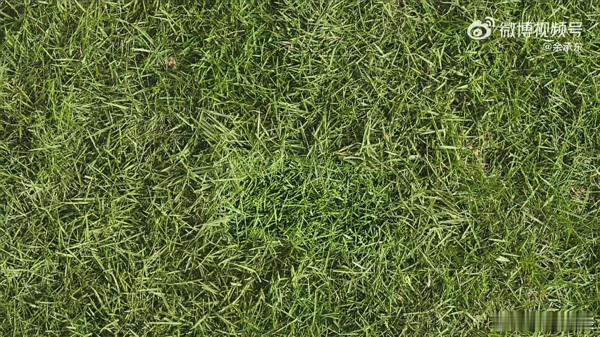 这次Mate80系列不光全系直屏回归，从视频里看黑边也控制的很不错。关键的是这块