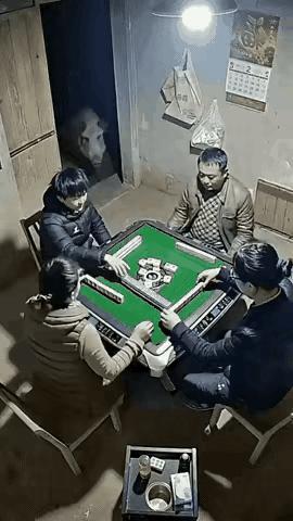 见过闹脾气的猪吗？这只猪的操作直接刷新所有人的认知！主人打麻将玩到天黑，把喂猪的