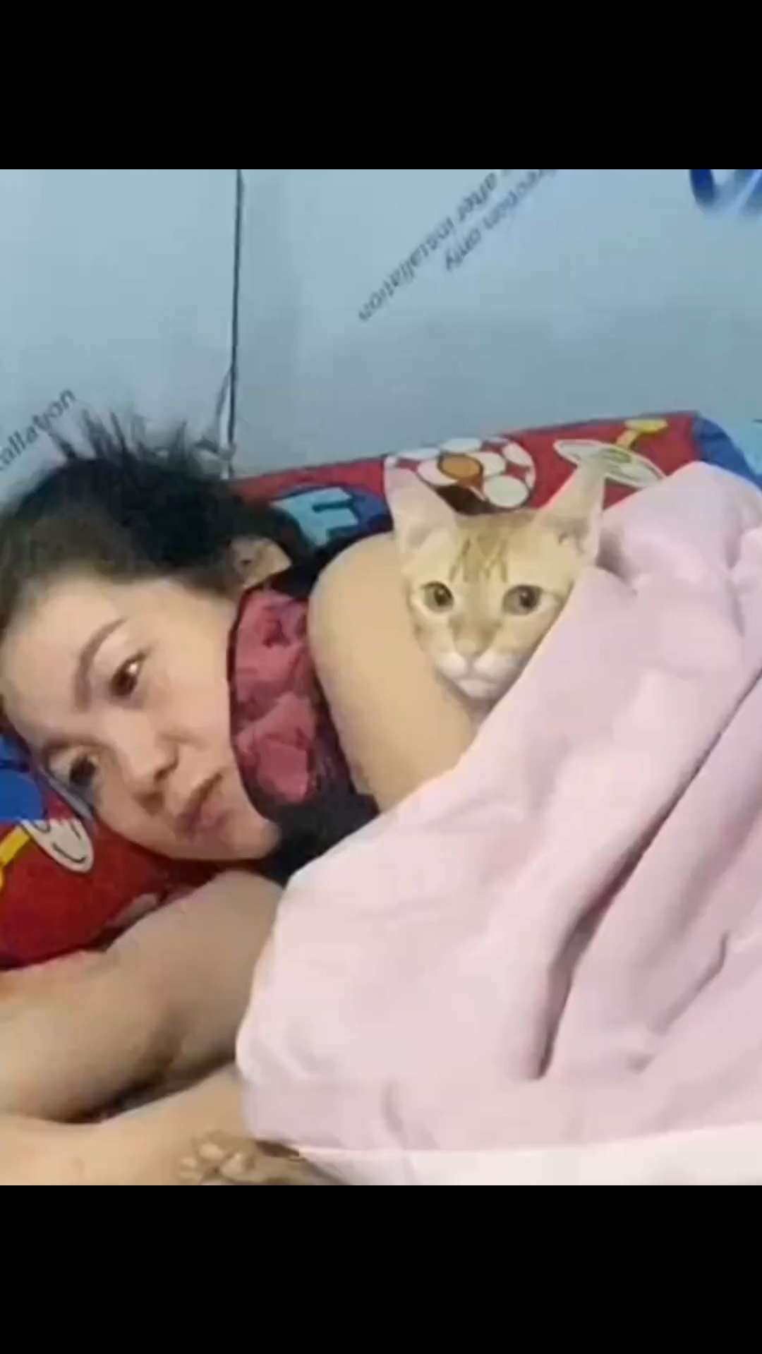 老妈不喜欢我养猫，猫咪就喜欢黏着她，她也没办法了