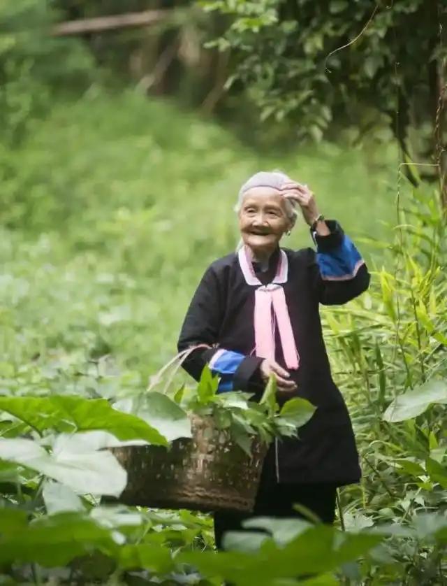 广西巴马长寿老人的秘诀，核心就10点，1、清淡饮食2、早睡早起3、劳逸