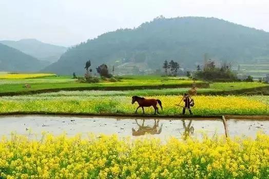 河北省各市2025年前三季度（1月到9月）GDP，唐山、石家庄、保定三市增速超9