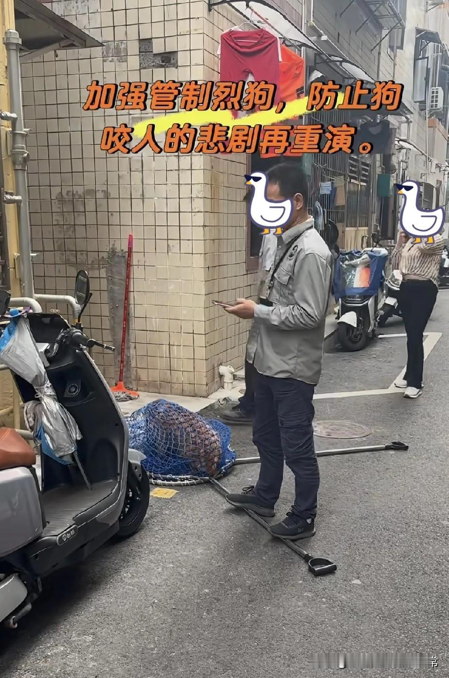 没狗证没绑绳子直接拿下！城中村窄巷里，两名穿制服的工作人员蹲在路边，脚边摆