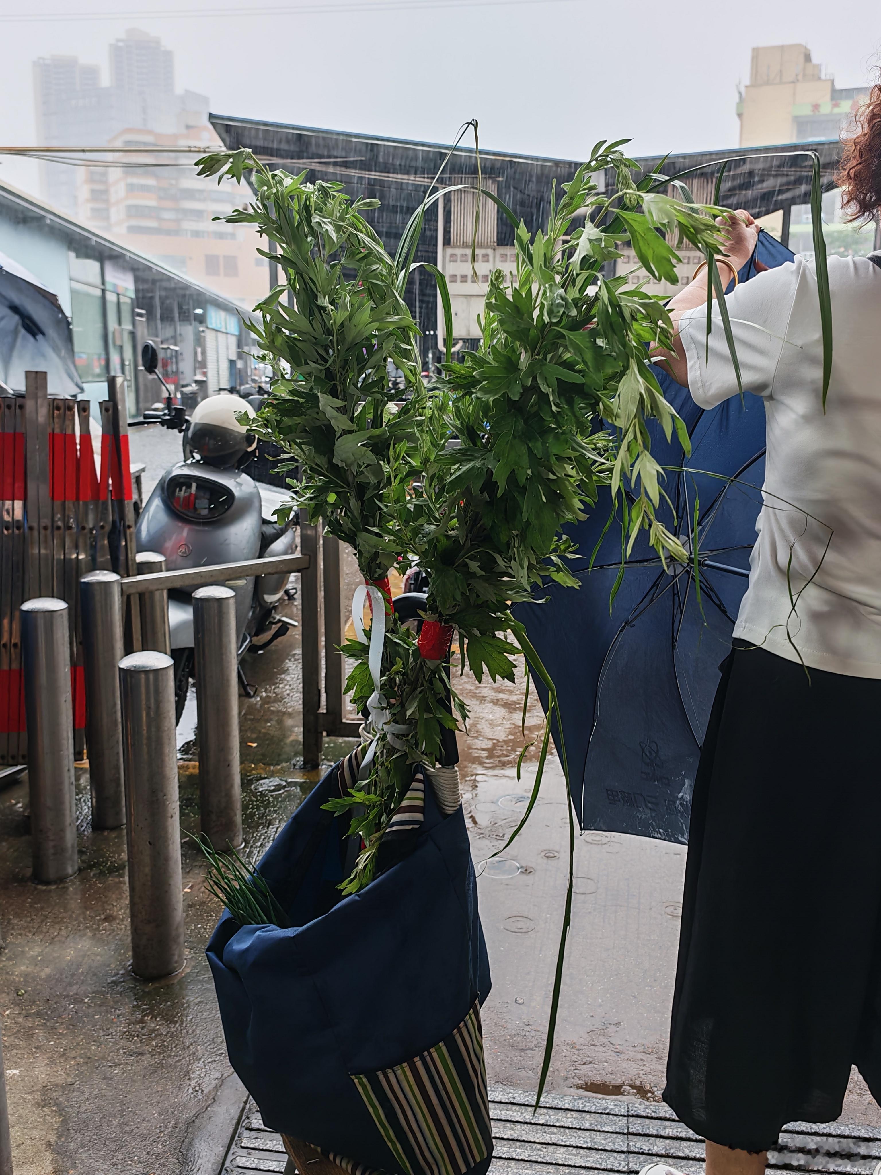端午除了粽子，还有这些青草：菖蒲、艾草、桃叶，有些地方还有柚子叶和大蒜！
