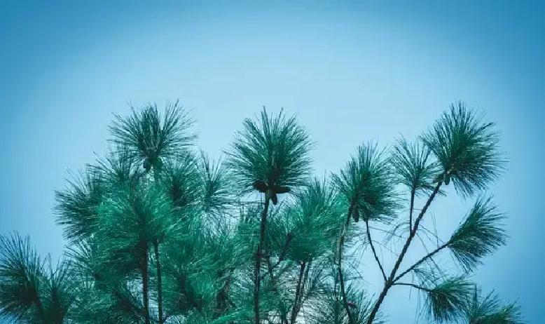 现在七十岁，已经不是什么稀罕事儿了。中国人平均预期寿命都快到79岁，好些地方甚至