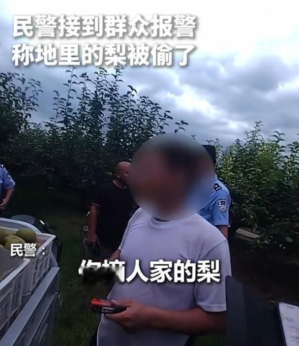 “你这是要断我活路啊！”7月15日安青网报道，宿州，一位大叔去果园查看梨子熟没熟