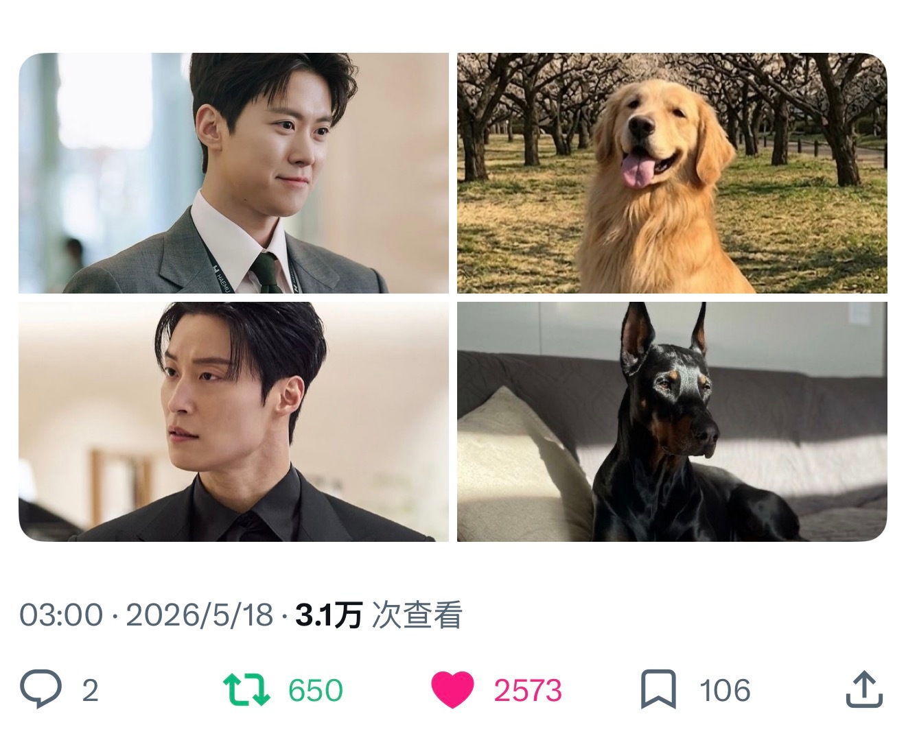 两部姐狗ㅋㅋㅋ都很好看☺️