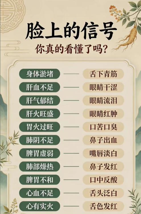 眼干鼻红口苦，对应肝脾胃肺各类问题