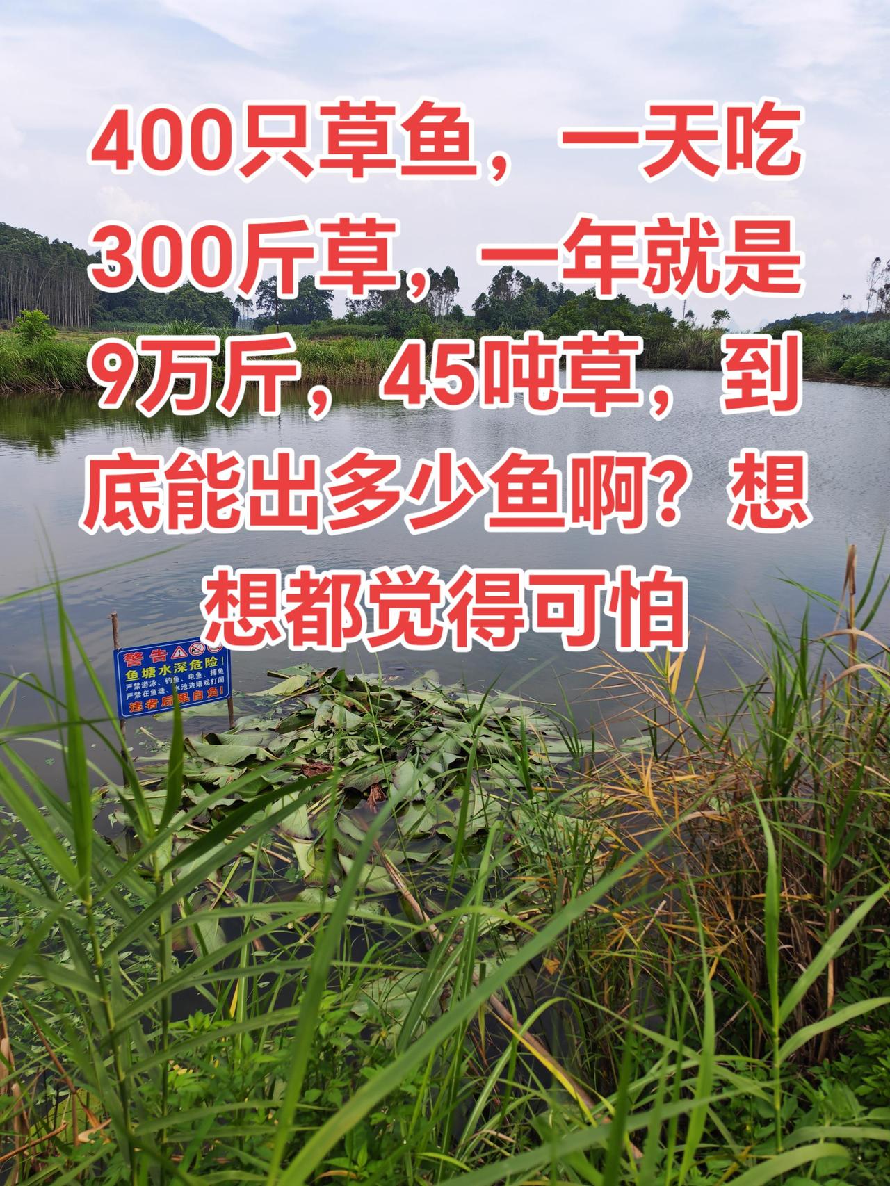 养鱼不是人做的，现在想都害怕了养鱼养鱼日记三农防溺水教育传递正能量