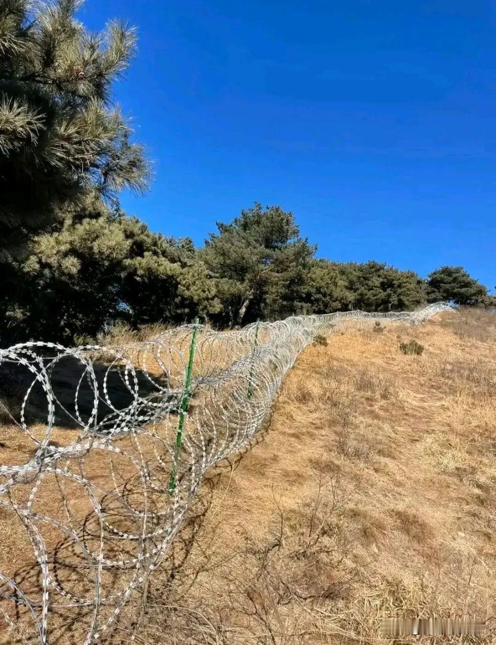 135公里的刀片铁丝网，说是防的驴友，倒不如说防的是泰山每年800多万游客。这