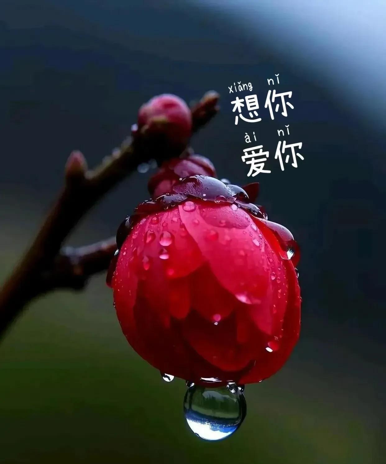 你知道吗我每天只做两件事一是呼吸，二是想你世界那么大遇见的人很多却只为