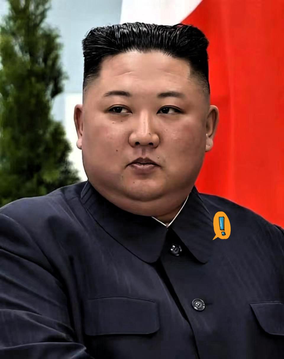 朝鲜正式宣布了2025年10月11日，朝鲜在纪念劳动党成立80周年阅兵式上，公