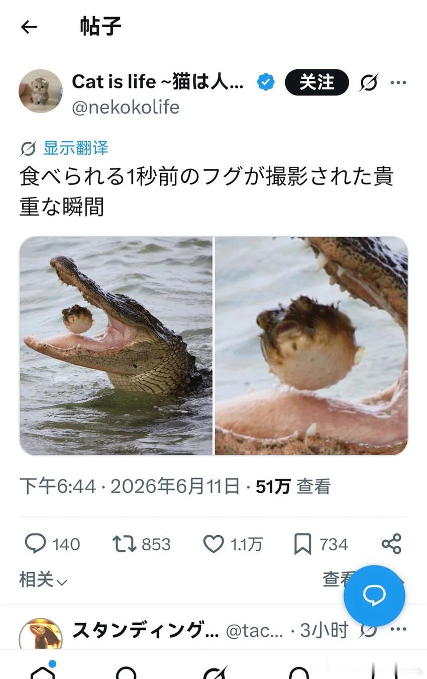鳄鱼扛得住河豚毒素吗