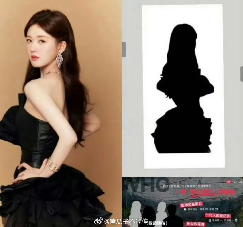 网友发现这个剪影是赵露思。